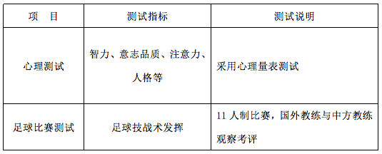 a片漫画